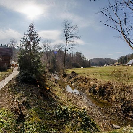 Wooden Cabin Zurej With Hot Tub Bukovje v Babni Gori Exterior photo