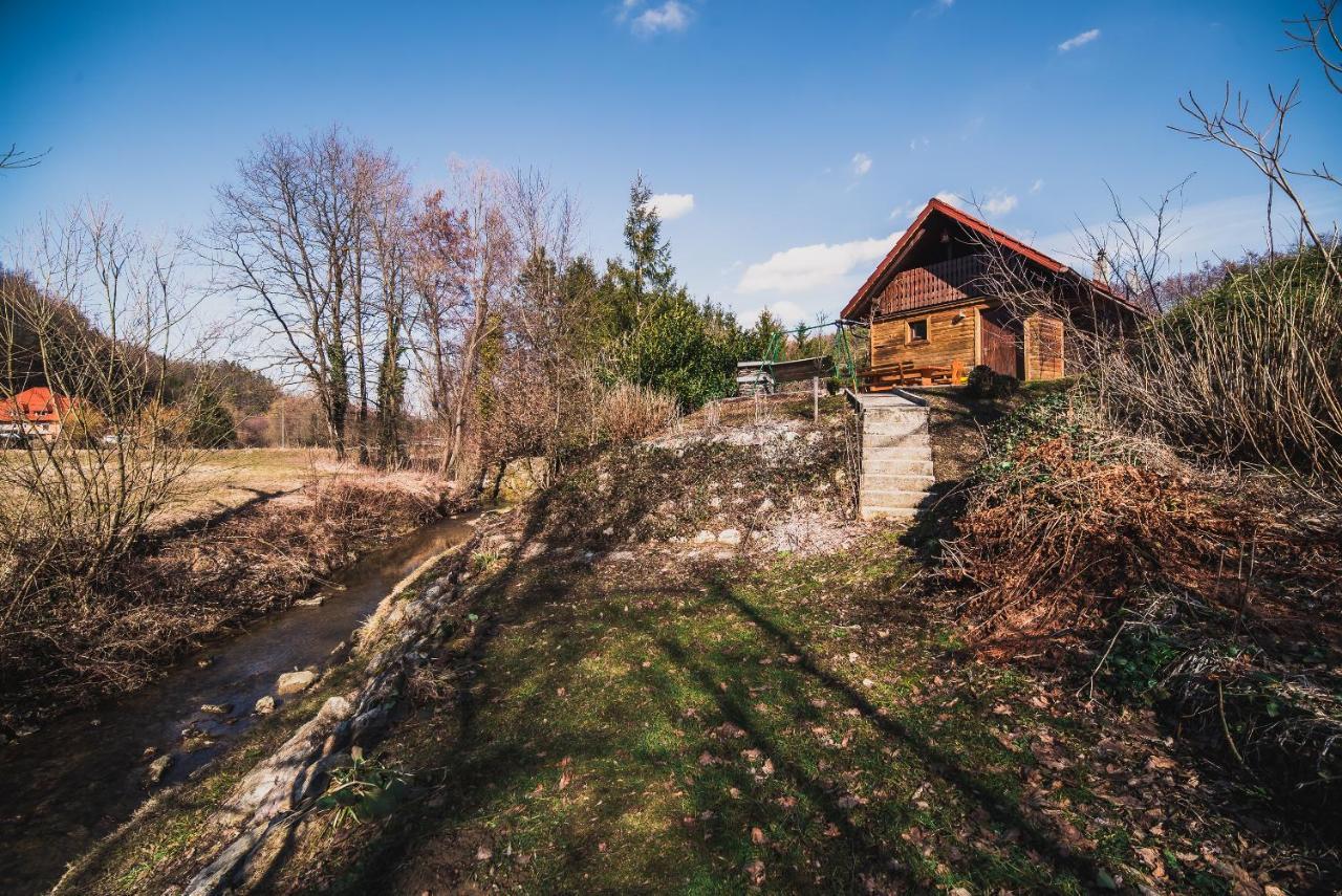 Wooden Cabin Zurej With Hot Tub Bukovje v Babni Gori Exterior photo